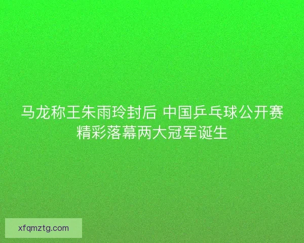 马龙称王朱雨玲封后 中国乒乓球公开赛精彩落幕两大冠军诞生